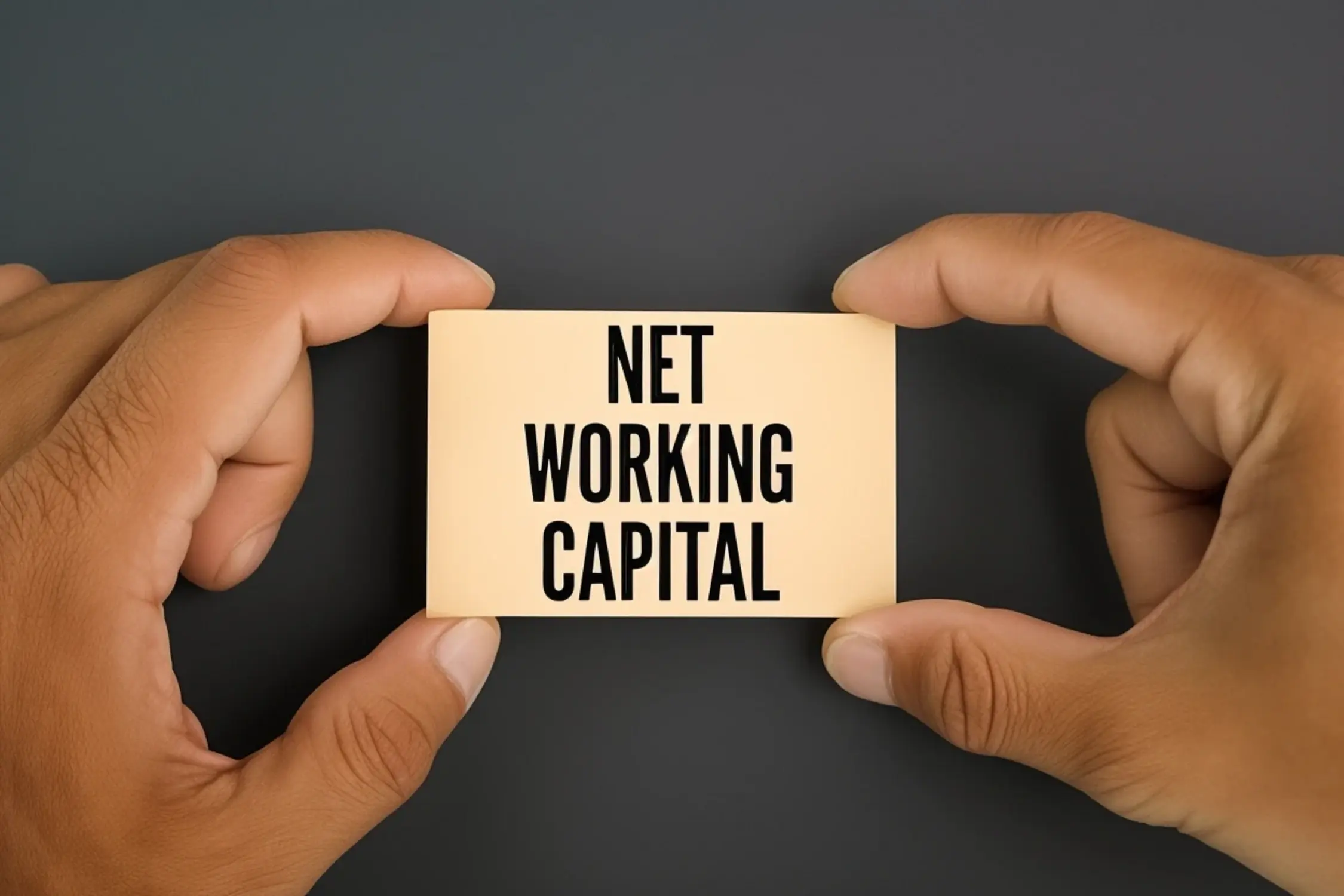 img-meme-token-investment-opportunities